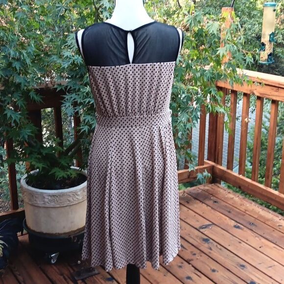 NWT Enfocus Studio Black and Tan Dress - Picture 6 of 12